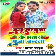 Dunu Tarbuja Ke Bhatar Puja Karata (Vikash Balamua) Mp3 Song