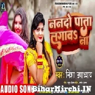 Nanado Pata Lagawa Na (Nisha Upadhyay) 2022 Mp3 Song