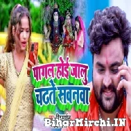 Pagal Hoi Jalu Chadhate Sawanwa (Mithu Marshal, Anjali Bharti) 2022 Bolbum Mp3 Song