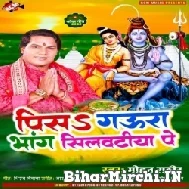 Pisa Gaura Bhang Silwatiya Pe (Mohan Rathore) 2022 Mp3 Song