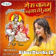 Mera Janam Kanha Tere Naam (Amrita Dixit)