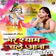 Mere Shyam Chale Aana (Amrita Dixit)