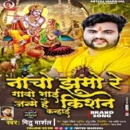 Aaj Janme Hai Krishna Kanhai