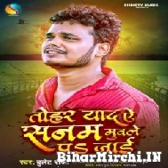 Tohar Yaad Ae Sanam Muwale Pa Jai (Bullet Raja) Mp3 Songs