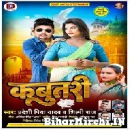 Kabutari (Pradeshi Piya Yadav, Shilpi Raj) Mp3 Song 