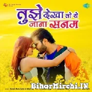 Tujhe Dekha To Ye Jana Sanam (Arvind Akela Kallu) 2022 Mp3 Song