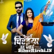 Chiraiya Udd Jaai (Saurabh Royale, Shilpi Raj) 2022 Mp3 Song