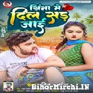 Sina Me Dil Sad Jaai (Mithu Marshal) 2022 Mp3 Song