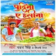 Pudina A Hasina 2 (Pawan Singh,Shilpi Raj) Bhojpuri New Song Dj Vivek Pandey