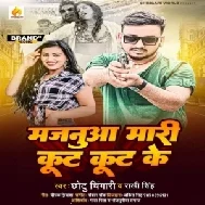 Majnuaa Mari Kut Kut Ke (Chhotu Chingari, Rakhi Singh) Mp3 Songs