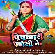 Pichkari Paroshi Ke (Nisha Pandey)