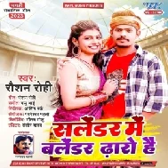 Salendar Me Balendar Dharo Hai (Raushan Rohi)