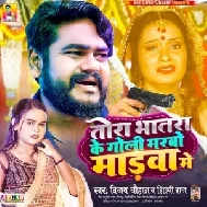 Tora Bhatara Ke Goli Marbo Madwa Me (Vijay Chauhan)