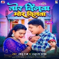 Tor Dilwa Mor Dilwa (Golu Raja,  Anupama Yadav)