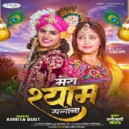 Mera Shyam Salona (Amrita Dixit)