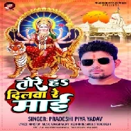 Tore Ha Dilwa Re Maai (Pradeshi Piya Yadav)