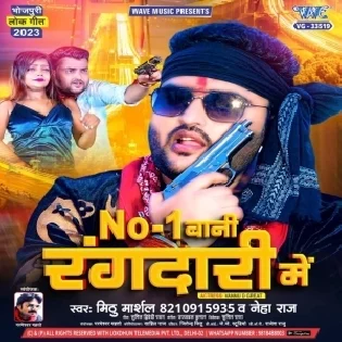 No-1 Bani Rangdaari Me