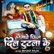 Hotawe Feel Dil Tutla Ke (Bullet Raja)