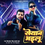 Seyan Bhailu (Neelkamal Singh,Anupama Yadav)