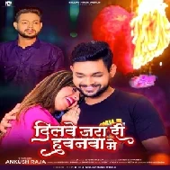 Dilwe Jara Di Hawanwa Me (Ankush Raja) 