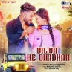 Dilwa Ke Dhadkan