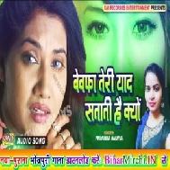 Bewafai Teri Yaad Satati Hai Kya (Priyanka Maurya) Mp3 Songs 