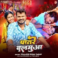 Patare Balamua (Pramod Premi Yadav)