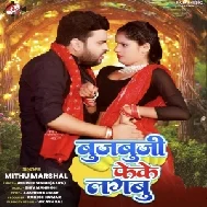 Bujbuji Feke Lagabu (Mithu Marsha, Antra Singh Priyanka) 