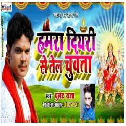 Hamara Diyari Se Jal Chuwata (Bullet Raja) 2019 Mp3 Songs