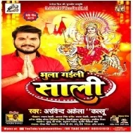 Bhula Gaili Saali (Arvind Akela Kallu) Mp3 Songs