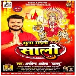 Bhula Gaili Saali (Arvind Akela Kallu) 2019 Mp3 Songs