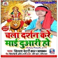 Chala Darshan Kare Mai Duariya (Vikash Bedardi) 2019 Mp3 Songs