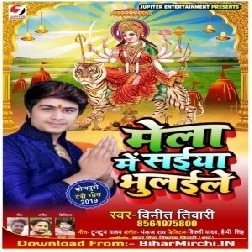 Mela Me Saiya Bhulaile (Vineet Tiwari) 2019 Mp3 Songs