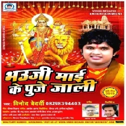 Bhouji Maai Ke Puje Jali (Vinod Bedardi) 2019 Mp3 Songs