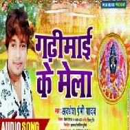 Gadhi Mai Ke Mela (Awdhesh Premi Yadav) Mp3 Songs