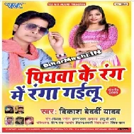 Piyawa Ke Rang Me Ranga Gailu (Vikash Bedardi Yadav) 2020 Mp3 Songs