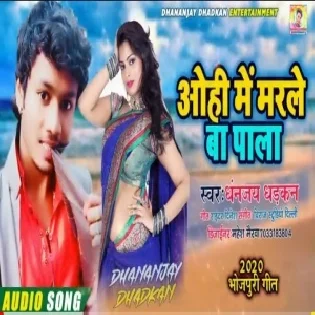 Ohi Me Marle Ba Pala (Dhananjay Dhadkan)