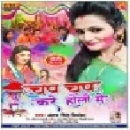 Chap Chap Kare Holi Me (Antra Singh Priyanka)