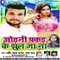 Odhani Pakar Ke Jhul Jana (Shashi Lal Yadav)