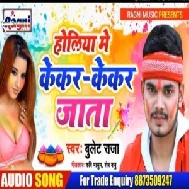 Holiya Me Kekar Kekar Jata (Bullet Raja) Mp3 Songs