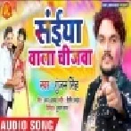 Rang Delkai Dewara Hamar Saiya Wala Chijawa Mp3 Song