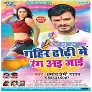 Gahir Dhodhi Me Rang Adiye Jaai Re Ka Karbe Re Jogake Ek Din Jariye Jaai Re | Pramod Premi Yadav | Mp3 Songs