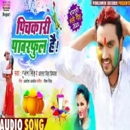 Pichakari  Powerful Hai | Gunjan Singh , Antra Singh Priyanka | Mp3 Songs