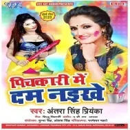 Pichkari Me Dum Naikhe | Antra Singh Priyanka | Mp3 Songs