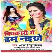  Pichkari Me Dum Naikhe | Antra Singh Priyanka | 2020 Mp3 Songs