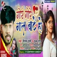 Gore Gore Gal Bate Ho | Shailesh Premi, Prabha Raj | Mp3 Son