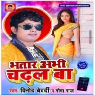 Bhatar Abhi Chadhal Ba | Vinod Bedardi | Mp3 Song