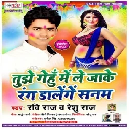 Tujhe Gehume Me Le Jake Rang Dalenge Sanam | Ravi Raj , Reshu Raj | 2020 Mp3 Song