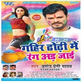 Gahir Dhodhi Me Rang Ad Jayi Mp3 Song