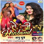 Dear Husband Suno Bajaar Jadi Jana Balam Ji Rang Lalke Le Aana Mp3 Song